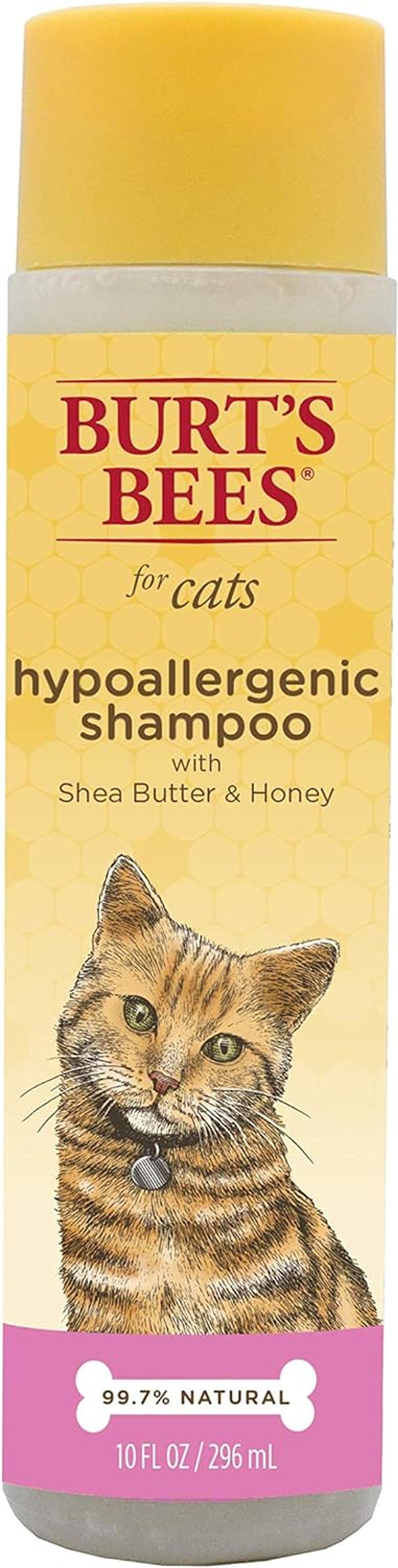 Cat Hypoallergenic Shampoo with Shea Butter & Honey | Moisturizing & Nourishing Cat Shampoo | Cruelty, Sulfate & Paraben Free, Ph Balanced for Cats - Made in USA, 10 Oz - 2 Pack