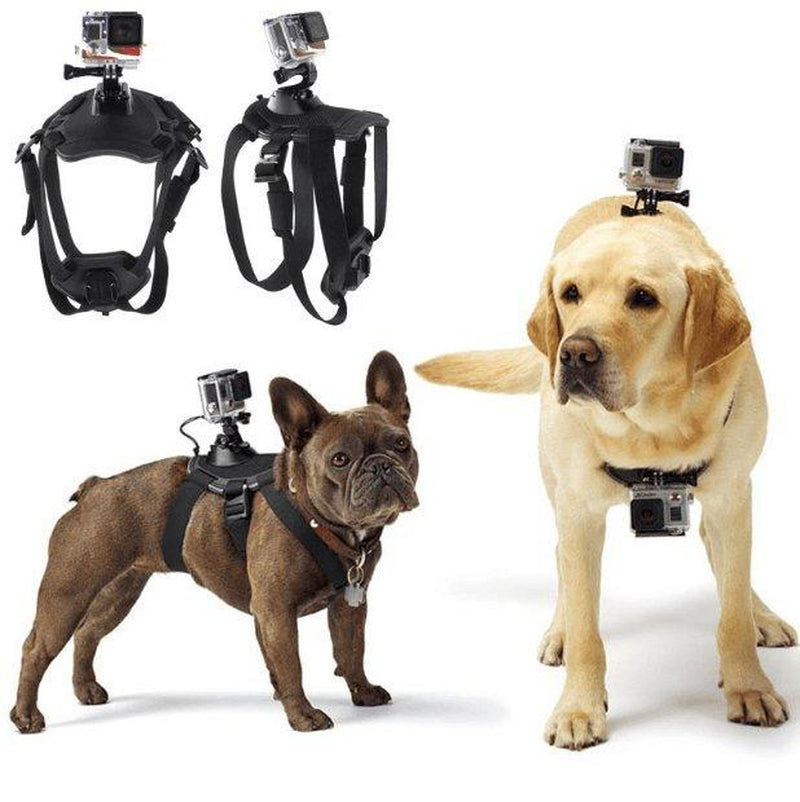 Adventure Paws Camera Mount Harness for Dogs