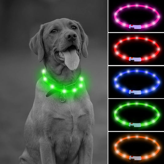 LED Dog Necklace, USB Rechargeable Light up Dog Collars, Flahing Dog Collar Light for Your Dogs Glow in the Dark (Green-Silicone)