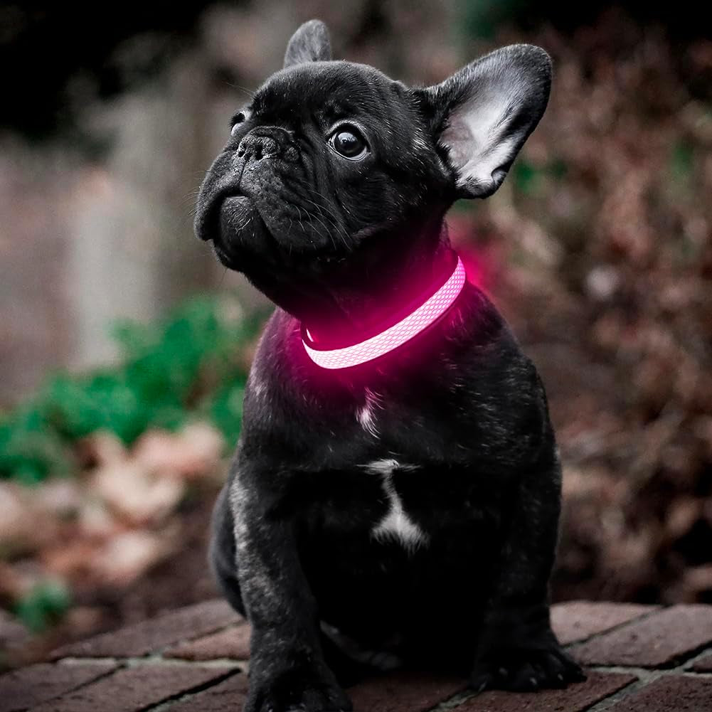 Reflective Light up Dog Collar - USB Rechargeable LED Dog Collar Glow in the Dark, High Visibility Mesh Glow Collar for Night Walking (Medium, Rose Red-Mesh)