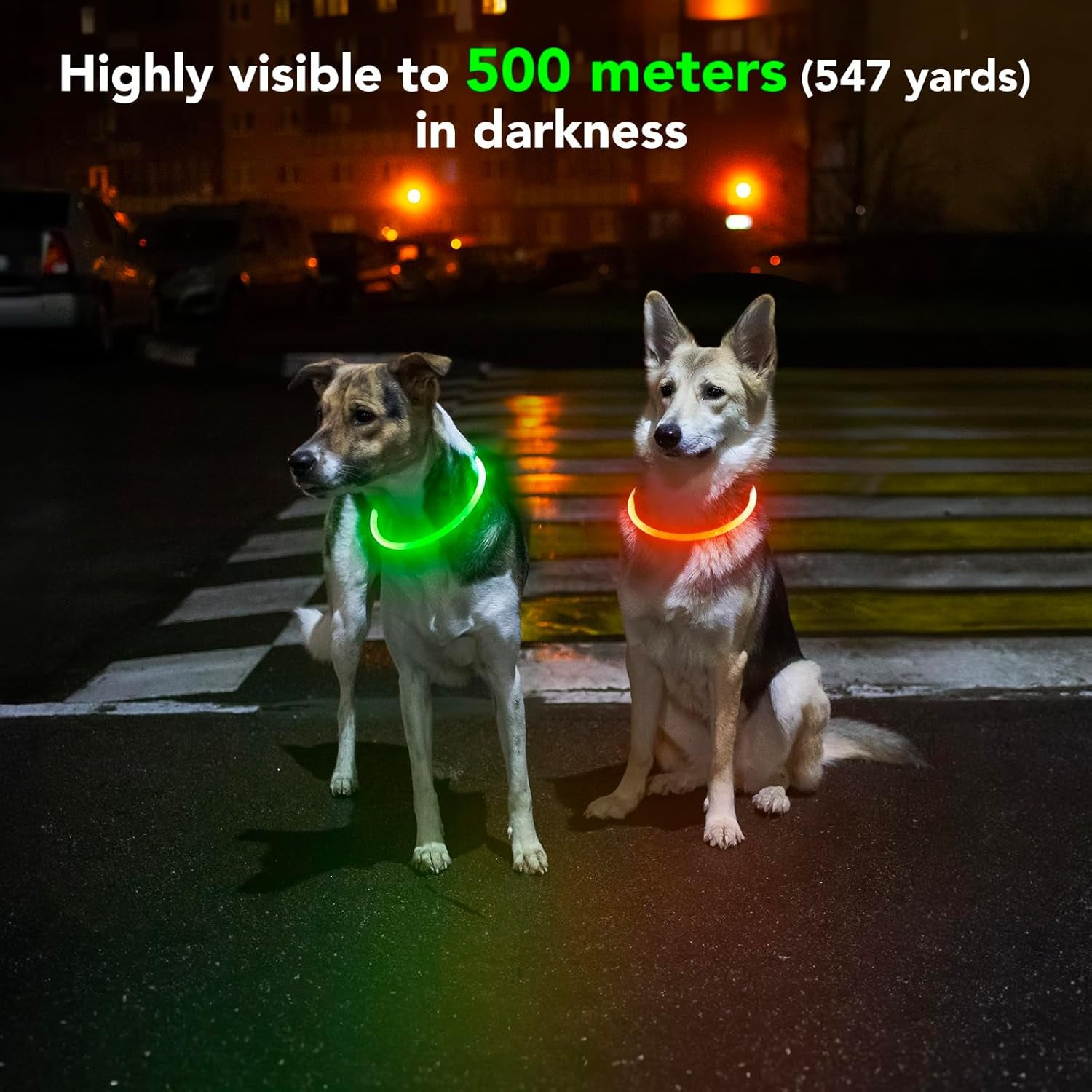 Light up Dog Collar - Waterproof LED Dog Collar Rechargeable, Bright Glow in the Dark Dog Collars for Night, TPU Adjustable Lighted Dog Collar for Small Medium Large Dogs (Orange)