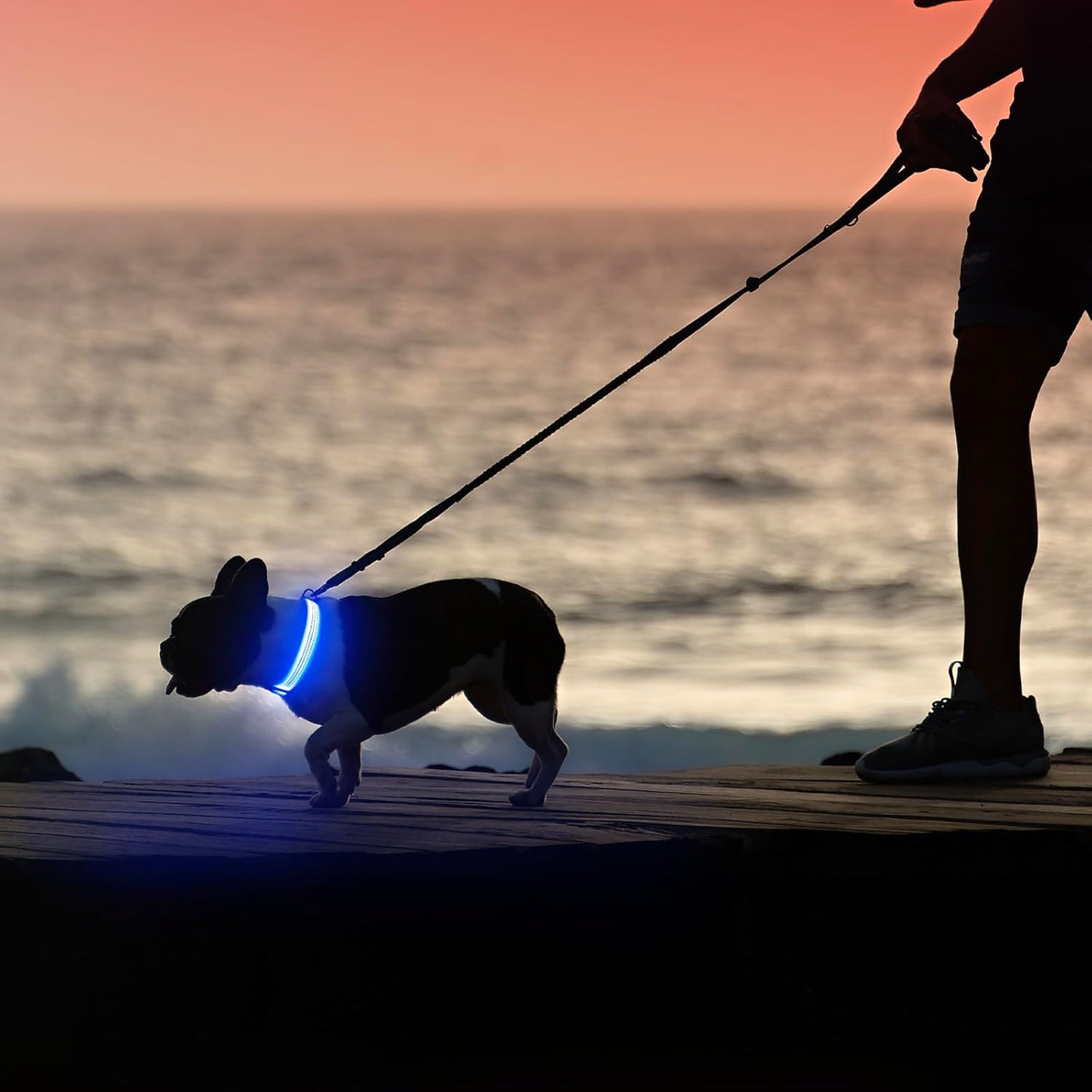 LED Dog Collar - USB Rechargeable Dog Light up Collar, Reflective Dog Collar Light for Your Dogs Glow in the Dark (Blueⅲ, Medium)