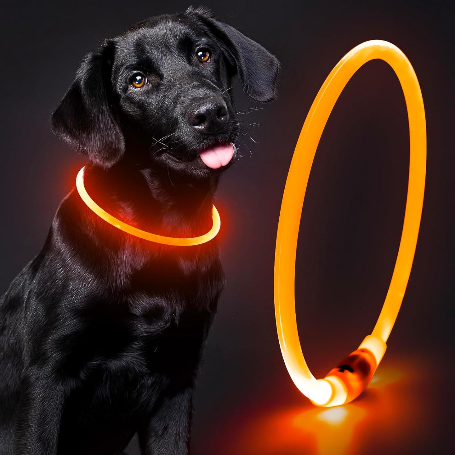 Light up Dog Collar - Waterproof LED Dog Collar Rechargeable, Bright Glow in the Dark Dog Collars for Night, TPU Adjustable Lighted Dog Collar for Small Medium Large Dogs (Orange)