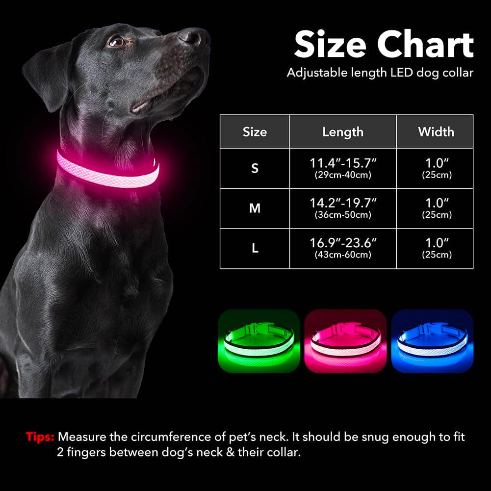 Reflective Light up Dog Collar - USB Rechargeable LED Dog Collar Glow in the Dark, High Visibility Mesh Glow Collar for Night Walking (Medium, Rose Red-Mesh)