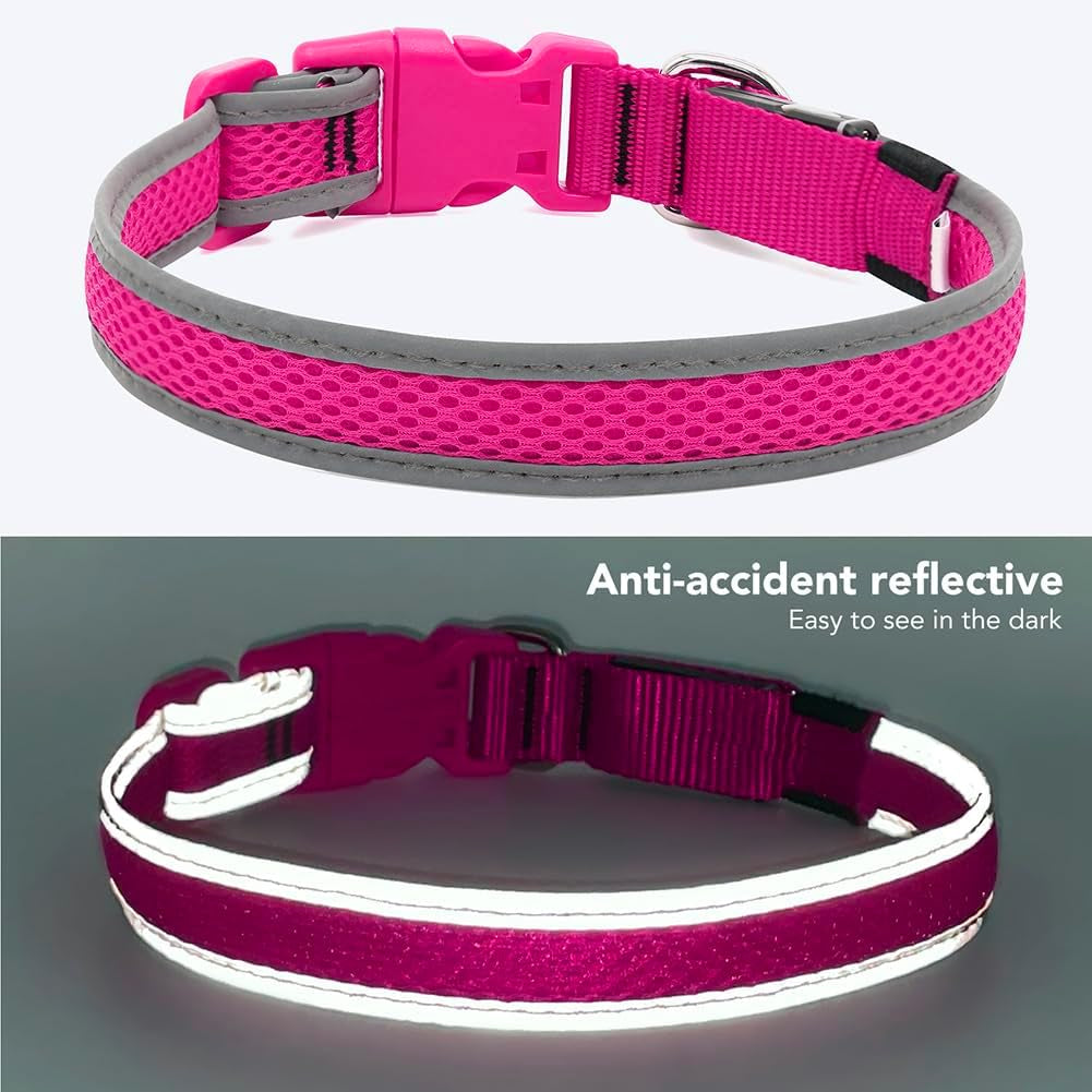 Reflective Light up Dog Collar - USB Rechargeable LED Dog Collar Glow in the Dark, High Visibility Mesh Glow Collar for Night Walking (Medium, Rose Red-Mesh)