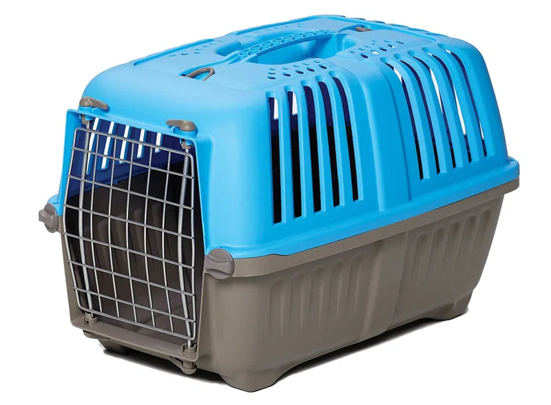 Spree™ Hard Sided Carrier for Cats, Small Animals, and Tiny Dog Breeds