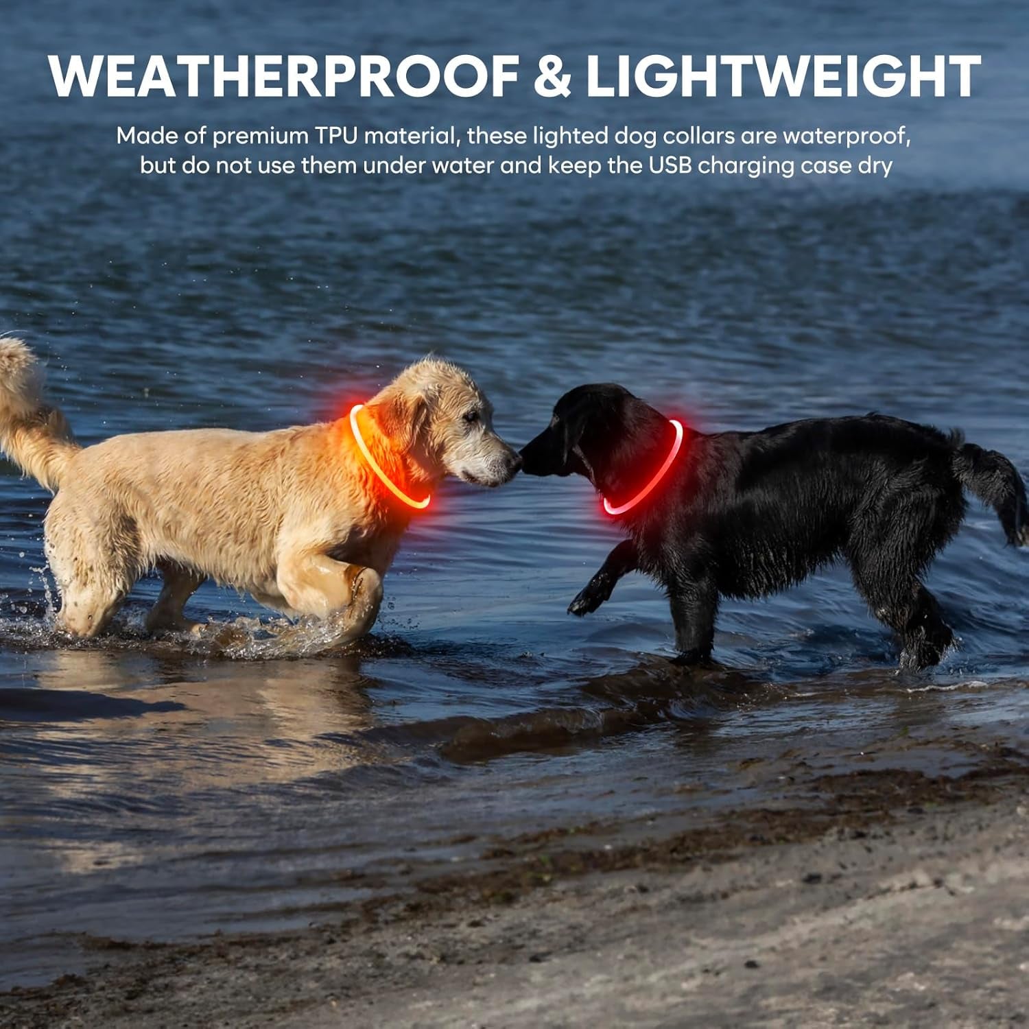 Light up Dog Collar - Waterproof LED Dog Collar Rechargeable, Bright Glow in the Dark Dog Collars for Night, TPU Adjustable Lighted Dog Collar for Small Medium Large Dogs (Orange)