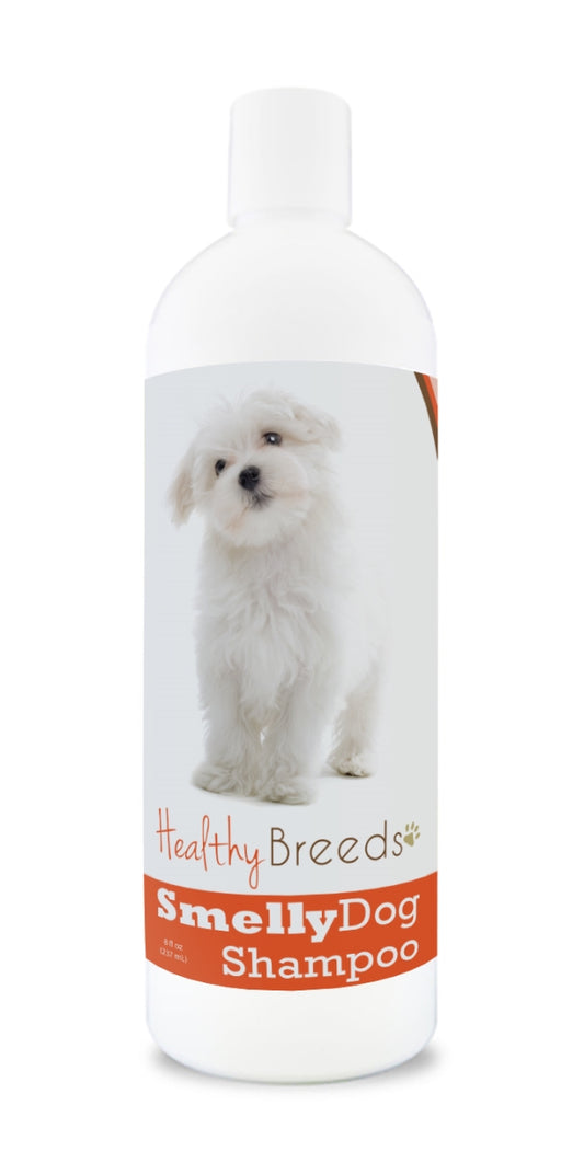 Maltese Smelly Dog Baking Soda Shampoo