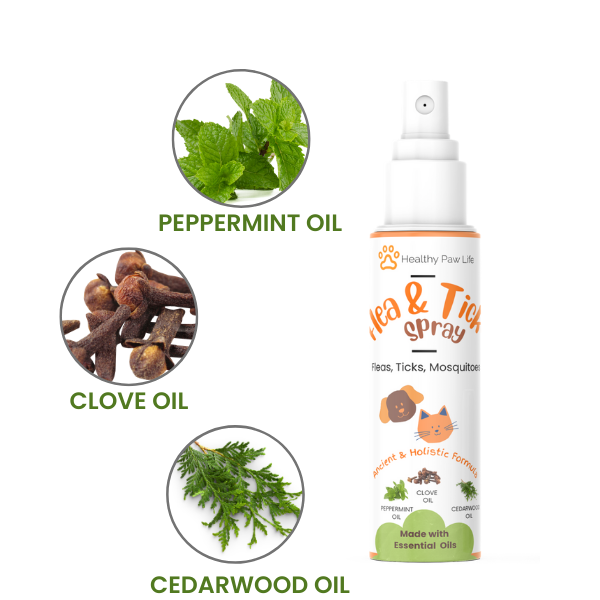 Healthy Paw Life's Flea and Tick Shampoo for Dogs and Cats - Powered