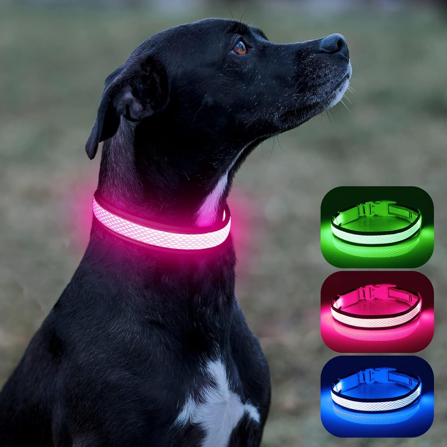 Reflective Light up Dog Collar - USB Rechargeable LED Dog Collar Glow in the Dark, High Visibility Mesh Glow Collar for Night Walking (Medium, Rose Red-Mesh)