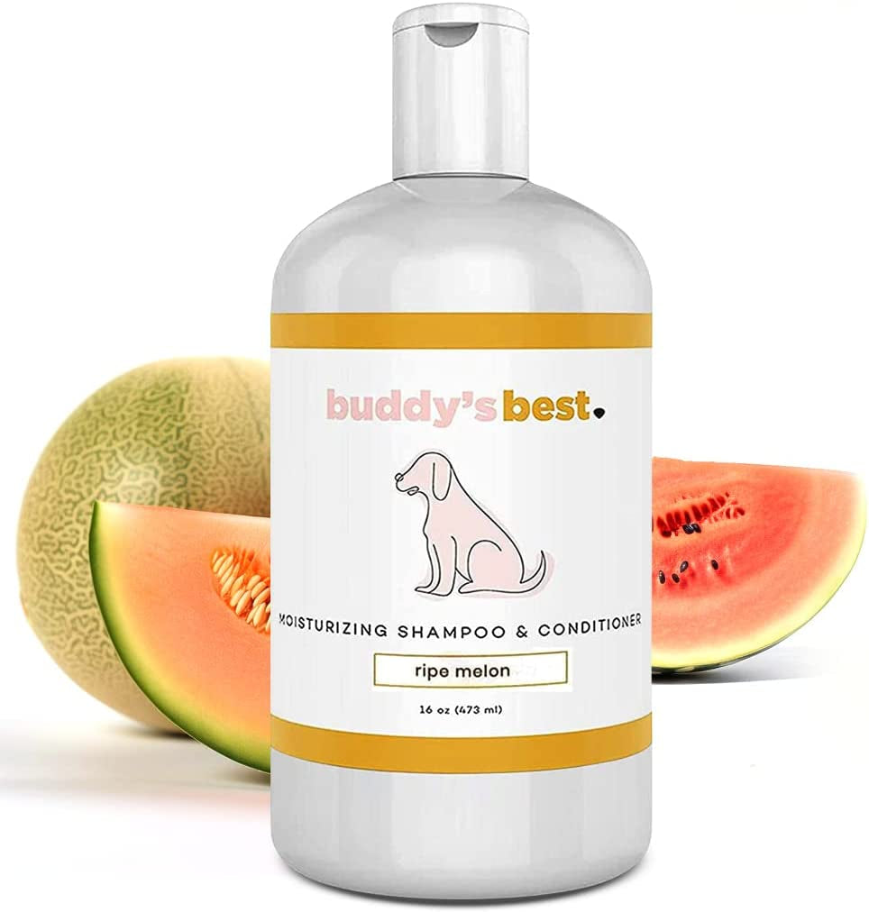 Dog Shampoo for Smelly Dogs - Dog Shampoo and Conditioner for Dry and Sensitive Skin - Moisturizing Puppy Wash Shampoo, Ripe Melon Scent, 16Oz