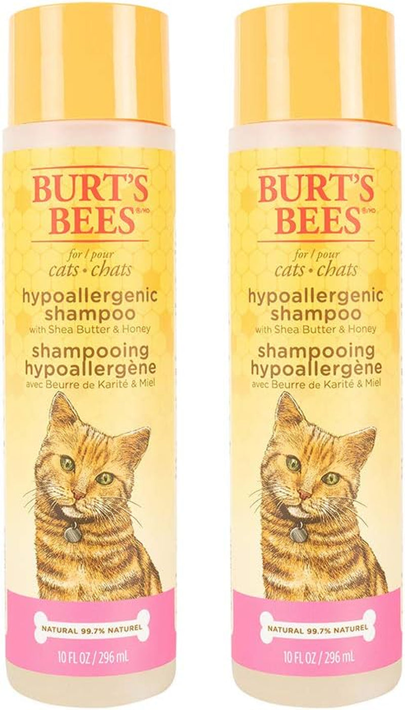 Cat Hypoallergenic Shampoo with Shea Butter & Honey | Moisturizing & Nourishing Cat Shampoo | Cruelty, Sulfate & Paraben Free, Ph Balanced for Cats - Made in USA, 10 Oz - 2 Pack