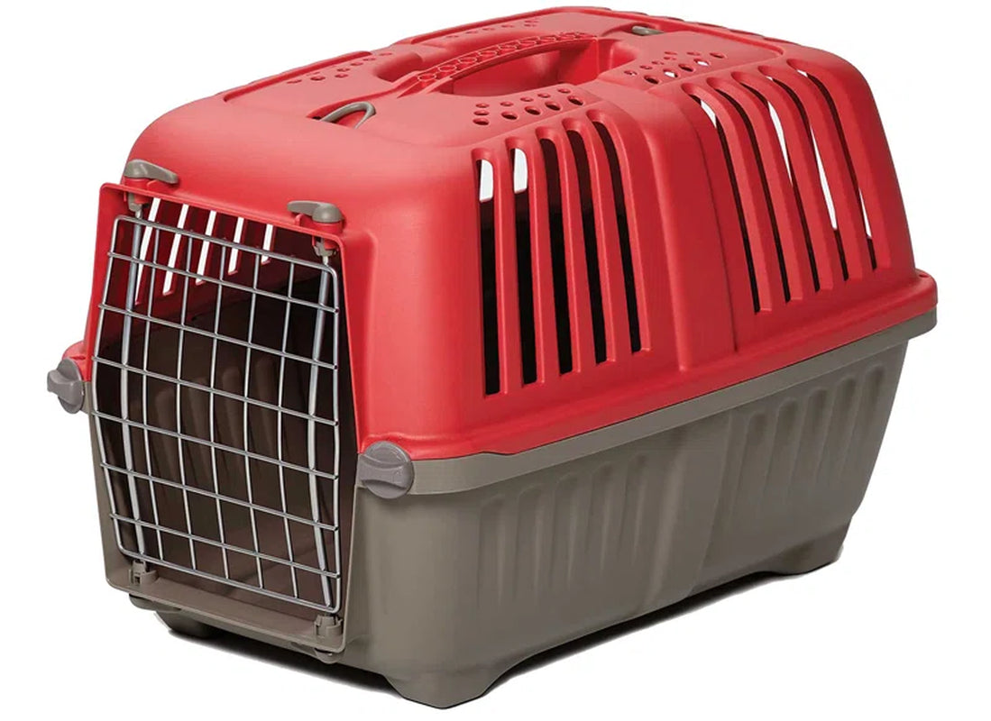 Spree™ Hard Sided Carrier for Cats, Small Animals, and Tiny Dog Breeds